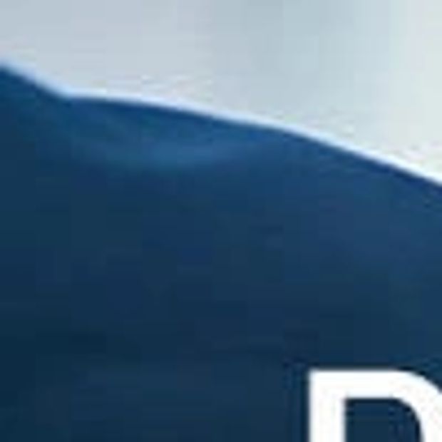 PROFESSIONAL SERVICES